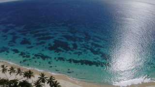 Plage des Salines drone
