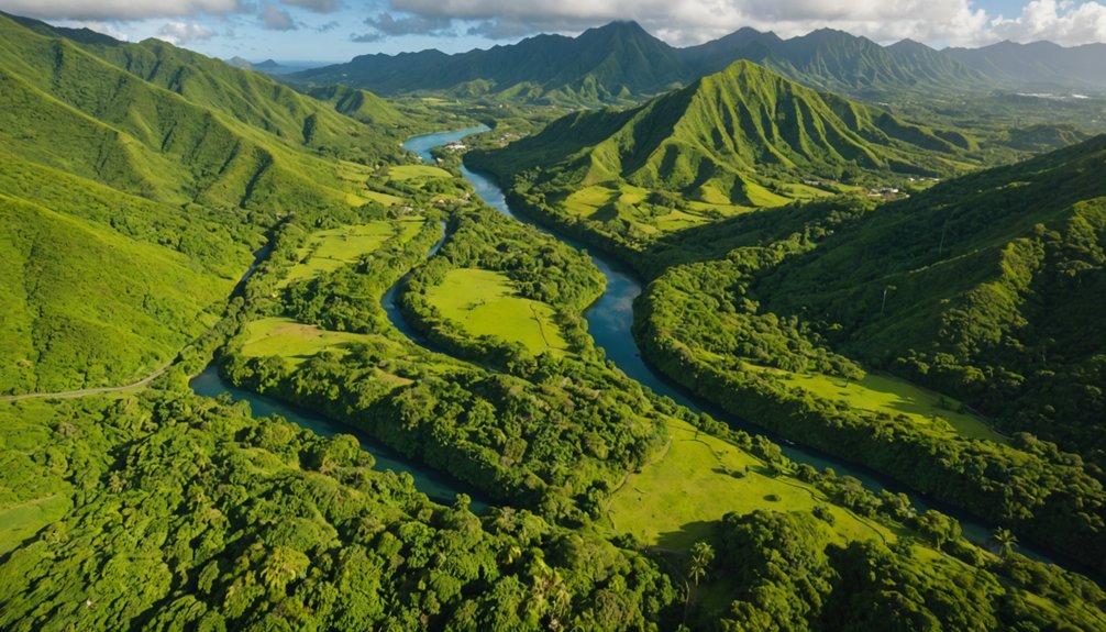 cinématographie aérienne FPV des Caraïbes