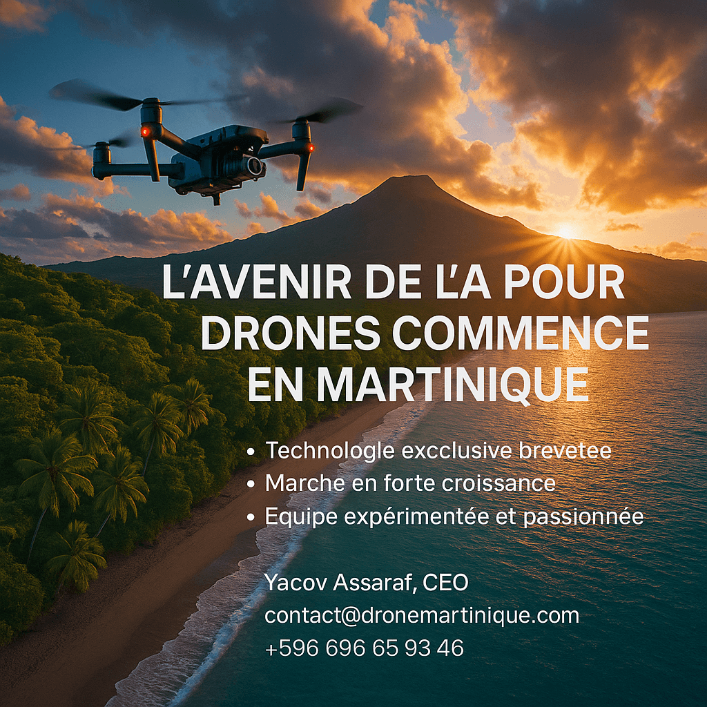 Projection financière - Drone Martinique IA