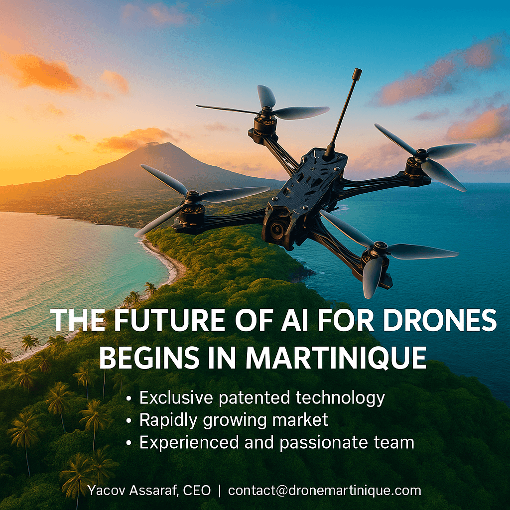 Financial Projection - Drone Martinique AI