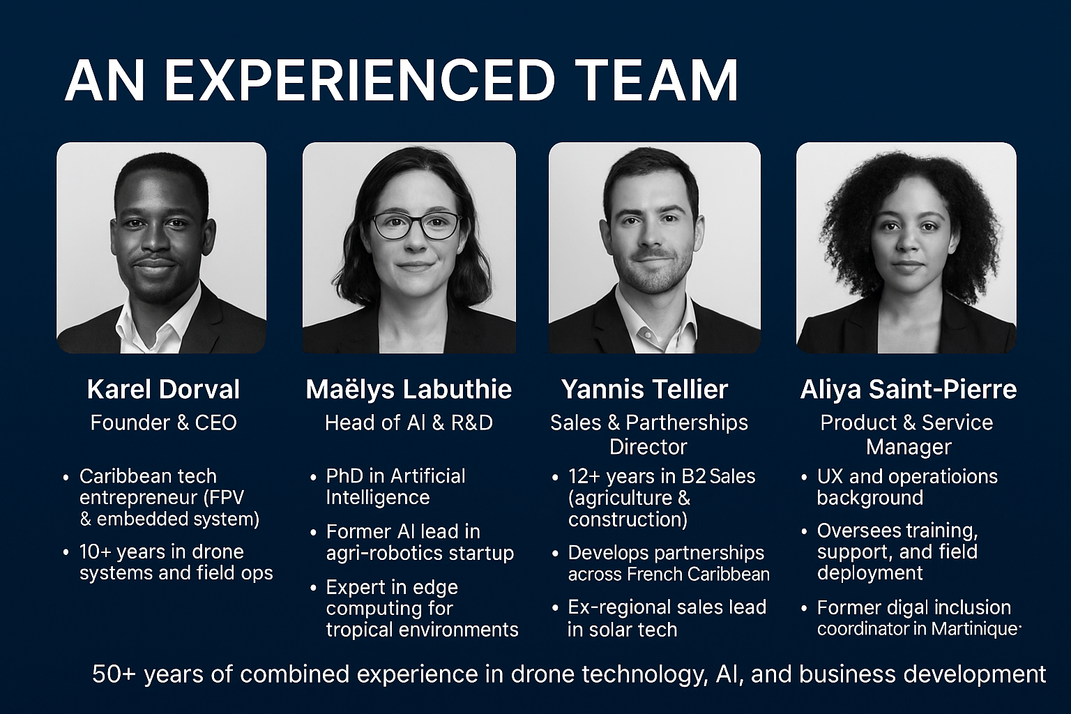 Business Model - Drone Martinique AI