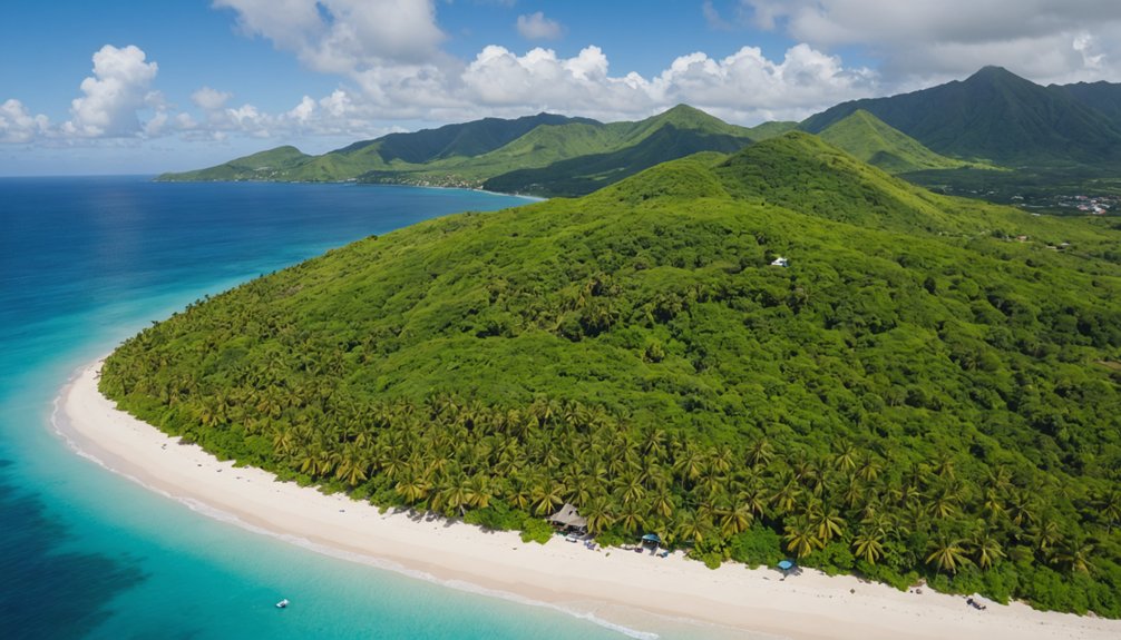 survolant les paysages diversifiés de la Martinique